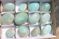 Polished Amazonite Free Forms x 12 From Madagascar