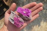 Natural Salrose Cobaltion Dolomite Specimens x 12 From Kakanda, Congo