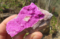 Natural Salrose Cobaltion Dolomite Specimens x 12 From Kakanda, Congo