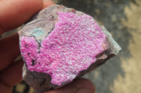 Natural Salrose Cobaltion Dolomite Specimens x 12 From Kakanda, Congo