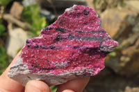 Natural Salrose Cobaltion Dolomite Specimens x 12 From Kakanda, Congo