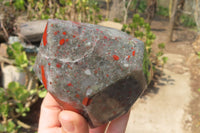 Polished Bloodstone With Pyrite Point x 1 From Swaziland