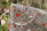 Polished Bloodstone With Pyrite Point x 1 From Swaziland