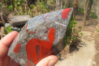 Polished Bloodstone With Pyrite Point x 1 From Swaziland