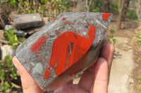 Polished Bloodstone With Pyrite Point x 1 From Swaziland