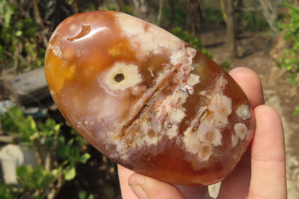 Polished Flower Agate Standing Free Forms x 3 From Antsahalova, Madagascar