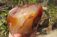 Polished Flower Agate Standing Free Forms x 3 From Antsahalova, Madagascar