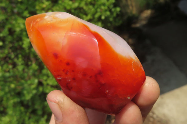 Polished Carnelian Flame Sculptures x 6 From Madagascar