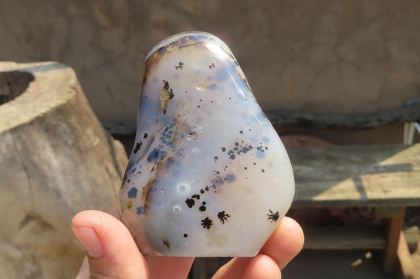 Polished on One Side Dendritic Agate Free Forms x 6 From Madagascar