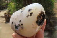 Polished on One Side Dendritic Agate Free Forms x 6 From Madagascar