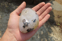 Polished on One Side Dendritic Agate Free Forms x 6 From Madagascar