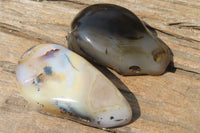 Polished on One Side Dendritic Agate Free Forms x 6 From Madagascar