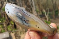 Polished on One Side Dendritic Agate Free Forms x 6 From Madagascar