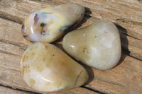 Polished on One Side Dendritic Agate Free Forms x 6 From Madagascar