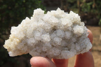 Natural Drusy Quartz Coated Calcite Pseudomorph Specimens x 6 From Alberts Mountain, Lesotho