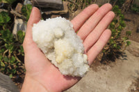 Natural Drusy Quartz Coated Calcite Pseudomorph Specimens x 6 From Alberts Mountain, Lesotho