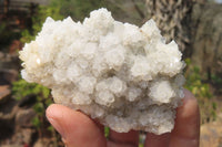 Natural Drusy Quartz Coated Calcite Pseudomorph Specimens x 6 From Alberts Mountain, Lesotho