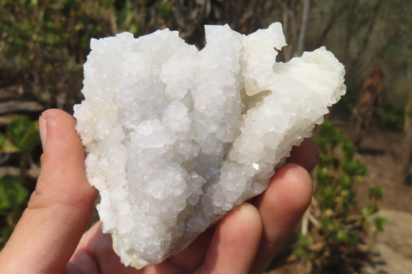 Natural Drusy Quartz Coated Calcite Pseudomorph Specimens x 6 From Alberts Mountain, Lesotho