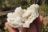 Natural Drusy Quartz Coated Calcite Pseudomorph Specimens x 6 From Alberts Mountain, Lesotho