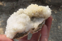 Natural Drusy Quartz Coated Calcite Pseudomorph Specimens x 6 From Alberts Mountain, Lesotho