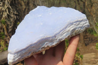 Natural Crystalline Blue Lace Agate Plates x 2 From Namibia