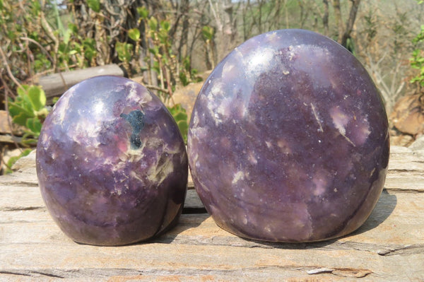 Polished Lepidolite Standing Free Forms x 2 From Ambatondrazaka, Madagascar