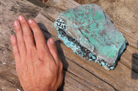 Natural Drusy Coated Malacolla On Dolomite Specimens x 2 From Likasi, Congo