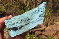 Natural Drusy Coated Malacolla On Dolomite Specimens x 2 From Likasi, Congo