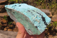 Natural Drusy Coated Malacolla On Dolomite Specimens x 2 From Likasi, Congo