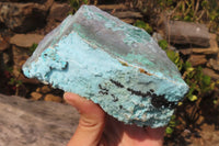 Natural Drusy Coated Malacolla On Dolomite Specimens x 2 From Likasi, Congo