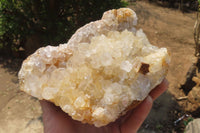 Natural Limonite Quartz Geodes x 2 From Solwezi, Zambia