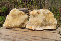 Natural Limonite Quartz Geodes x 2 From Solwezi, Zambia