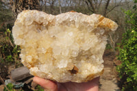 Natural Limonite Quartz Geodes x 2 From Solwezi, Zambia