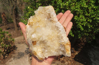 Natural Limonite Quartz Geodes x 2 From Solwezi, Zambia