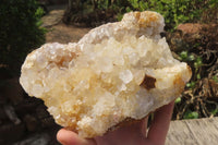 Natural Limonite Quartz Geodes x 2 From Solwezi, Zambia