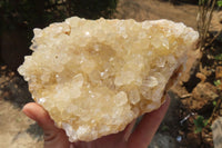 Natural Limonite Quartz Geodes x 2 From Solwezi, Zambia