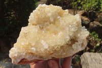 Natural Limonite Quartz Geodes x 2 From Solwezi, Zambia