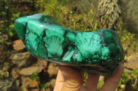 Polished Flower Banded Malachite Free Forms x 3 From Congo