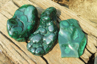 Polished Flower Banded Malachite Free Forms x 3 From Congo