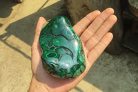 Polished Flower Banded Malachite Free Forms x 3 From Congo