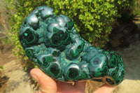 Polished Flower Banded Malachite Free Forms x 3 From Congo