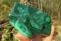 Polished Flower Banded Malachite Free Forms x 3 From Congo