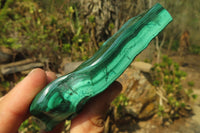 Polished Flower Banded Malachite Free Forms x 3 From Congo