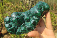 Polished Flower Banded Malachite Free Forms x 3 From Congo