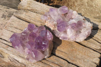 Natural Jacaranda Amethyst Quartz Cluster x 2 from Mumbwa, Zambia