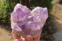 Natural Jacaranda Amethyst Quartz Cluster x 2 from Mumbwa, Zambia