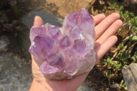 Natural Jacaranda Amethyst Quartz Cluster x 2 from Mumbwa, Zambia