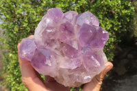 Natural Jacaranda Amethyst Quartz Cluster x 2 from Mumbwa, Zambia