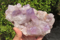 Natural Jacaranda Amethyst Quartz Cluster x 2 from Mumbwa, Zambia