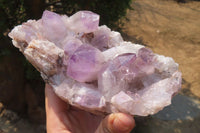 Natural Jacaranda Amethyst Quartz Cluster x 2 from Mumbwa, Zambia